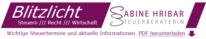 Blitzlicht Steuer PDF